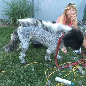 Meet your Posher, Jane